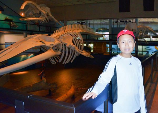 33_2014-01-06_South Africa Museum & Planetarium_Karoo Fossils �Ϸǲ���������Ĺݡ���³��ʯ-10001.JPG