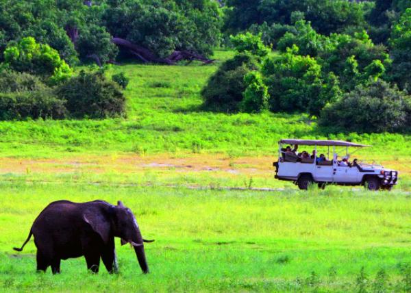 27_2014-01-08_Game Drive-40001.JPG