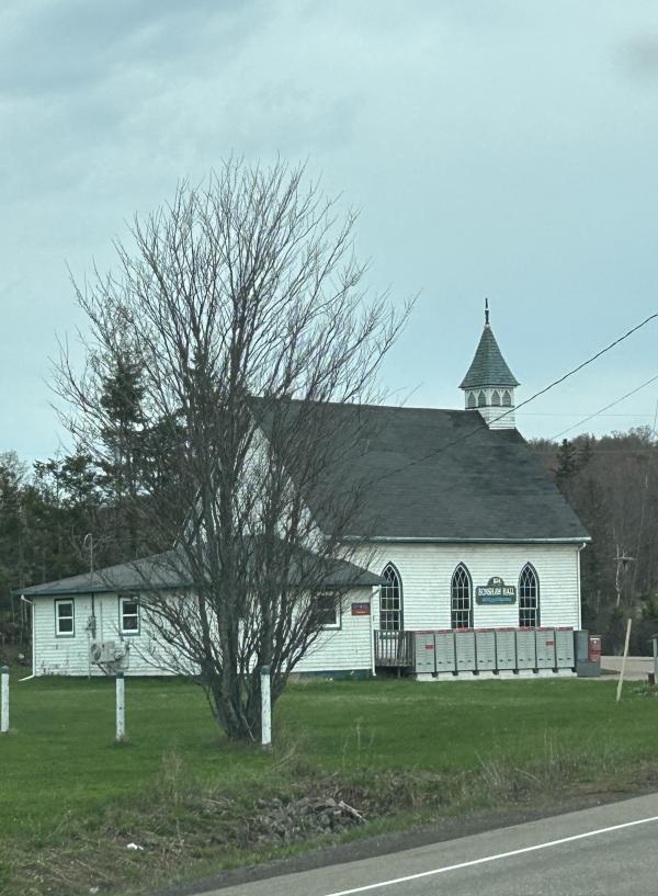 IMG_6282.JPG