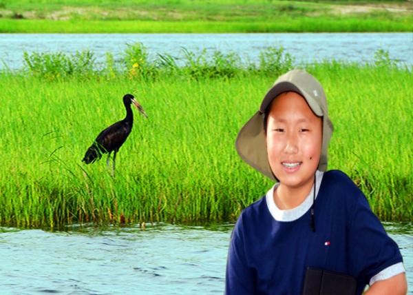 66_2014-01-08_Bird_African Openbill Stork ����ǯ����-30001.jpg