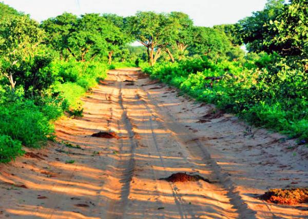 18_2014-01-09_Elephant Poops ������0001.JPG