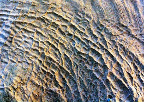 19_2014-01-09_Elephant Skin Print on Sand ����ɳӡ0001.JPG