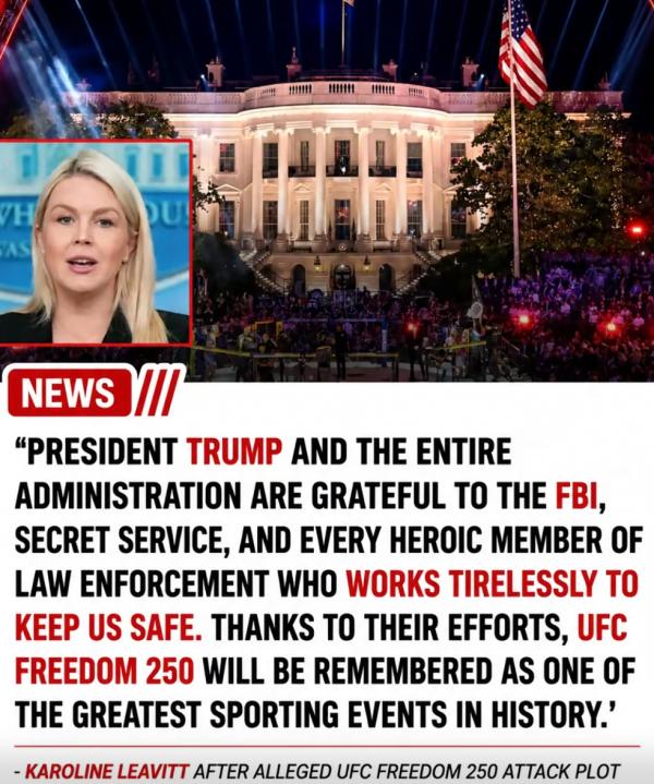 1781710238851688.png