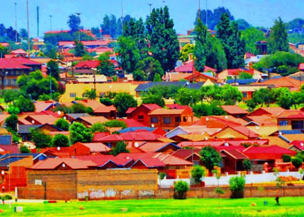 56_2014-01-10_Soweto Shanty_Housing Development Project ס��������Ŀ-20001.JPG