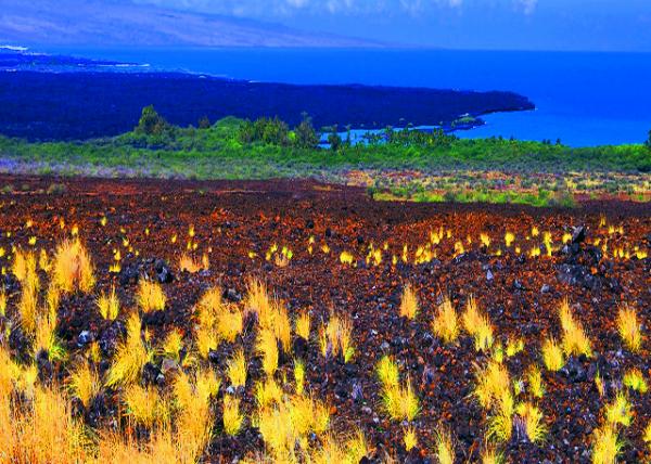 03_10-02-07_Kona Coast Rugged Shoreline w Lava Rock Formations & Pockets of Sand-20001.jpg