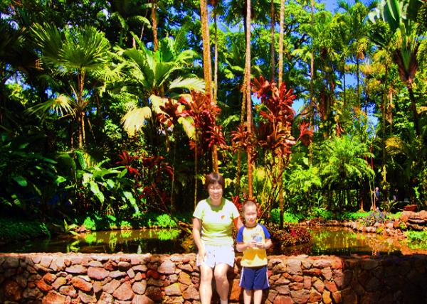 26_2007-10-03_Hawaii Tropical Botanical Garden_Lilypad Lake ˯����0001.JPG