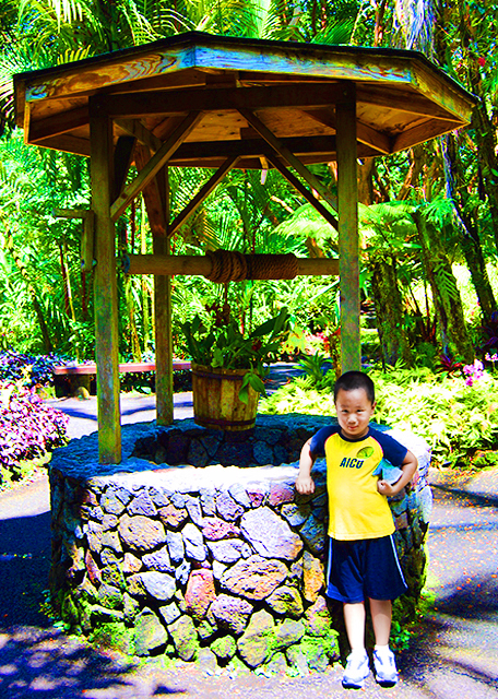 27_10-03-07_ Hawaii Tropical Botanical Gardens_Wishing Well w Roof.jpg