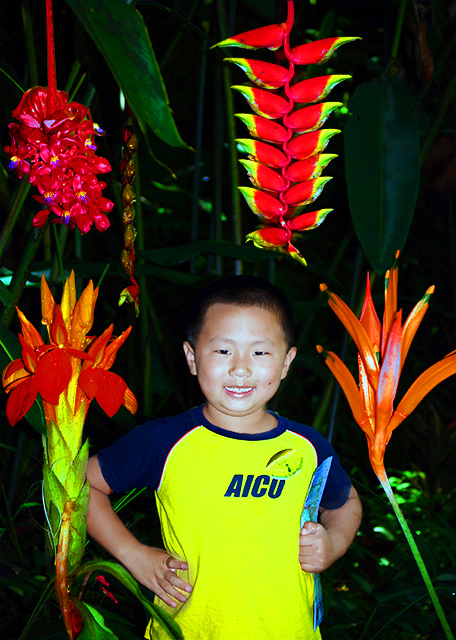 28_10-03-07_ Profusion of Blooms w Medinilla magnifica, Heliconia, Fiery Spike, & Canna0001.JPG
