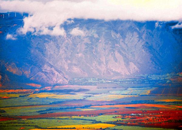 14_10-05-07_ Sugar Cane Fields.jpg