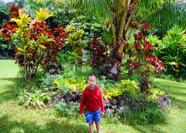 37_10-06-07_ Palapala Ho'omau Church or Church of Enduring Scriptures.jpg