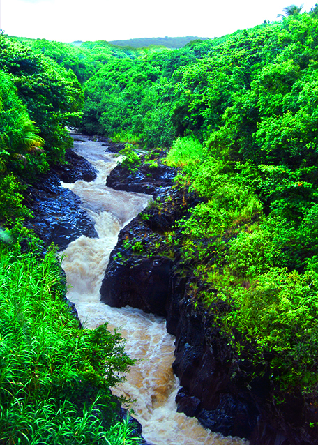 41_10-06-07_ ʻOheʻo Pools or Seven Sacred Pools.jpg