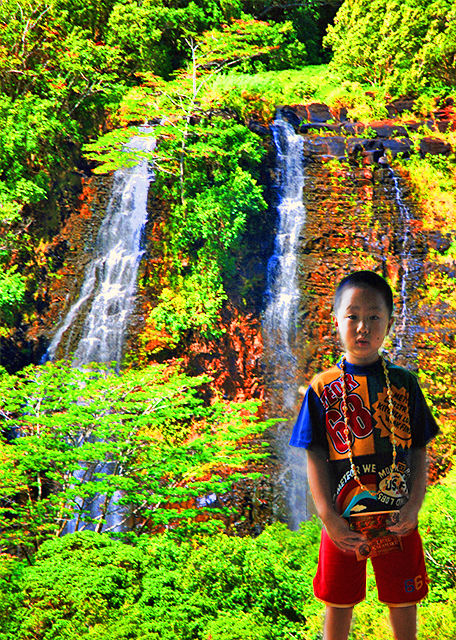28_10-08-07_ Falls_Opaeka'a Falls ��Ϻ�ٲ�-10001.jpg