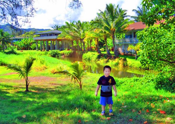 46_10-09-07_ Moloaa Bay Residential Houses �Ҹ��塤������0001.JPG