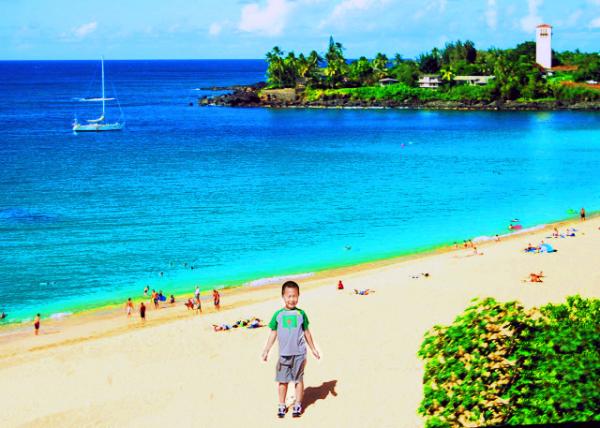 50_10-10-07_ Turtle Bay, Natural Habitat for the Turtles & Underwater Creatures ������-10001.jpg