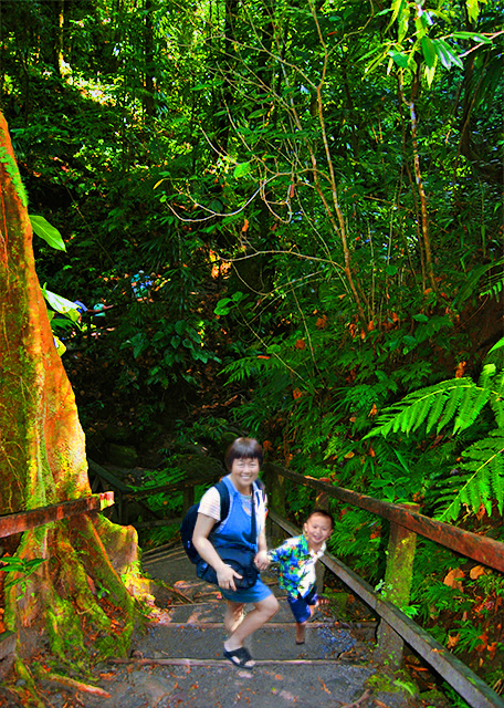 09_2008-01-29_Morne Trois Pitons NP_Titou Gorge����ɽ���ҹ�԰����ͷϿ-10001.jpg