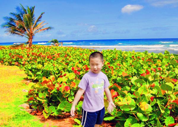 13_01-30-08_ Mangrove along Powerful Waves, Dramatic Boulders, & Spectacular Scenery @ Bathsheba Park������.JPG
