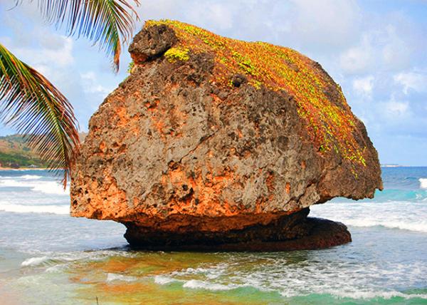 19_01-30-08_ Barbados-Bathsheba Beach_Mushroom Shaped Rock Ģ��״��ʯ-10001.JPG