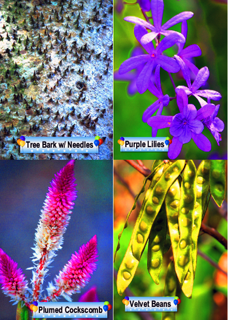 40_Flowers-2.jpg