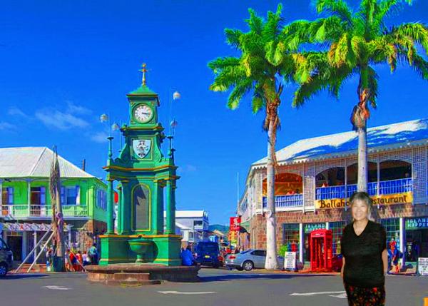 10_01-31-08_ St. Kitts-The Circus in Basseterre w Berkeley Memorial Բ�ι㳡-10001.jpg