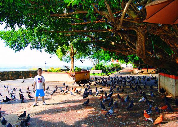57_02-05-08_ San Juan-Pigeon's Park ���ӹ�԰0001.JPG