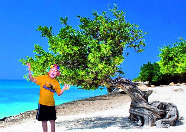 34_01-26-09_Divi-Divi Tree @ Eagle Beach ӥ̲��ܿʵ��-10001.jpg