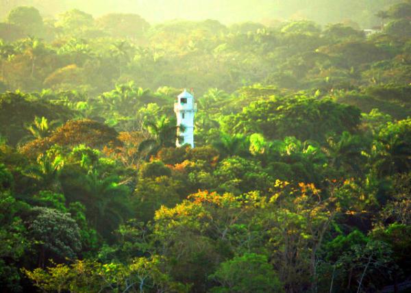 03_01-28-09_ Lighthouse above Tropical Rain Forest �ȴ������ϵ���0001.JPG