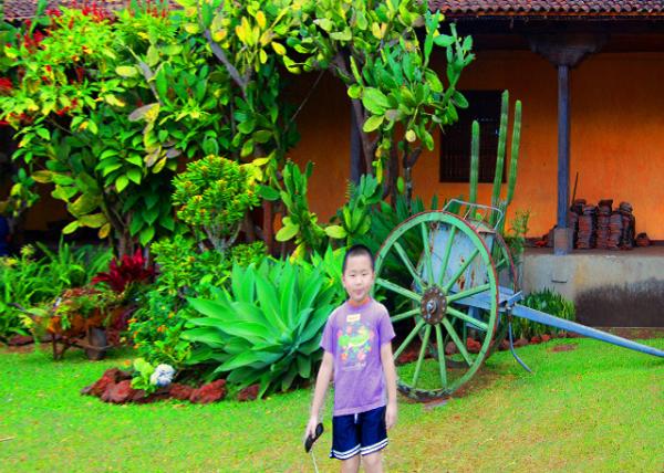 14_01-29-09_ Natl Museum of Costa Rica_Ox Cart ��˹����ӹ��Ҳ���ݡ�ţ��-10001.JPG