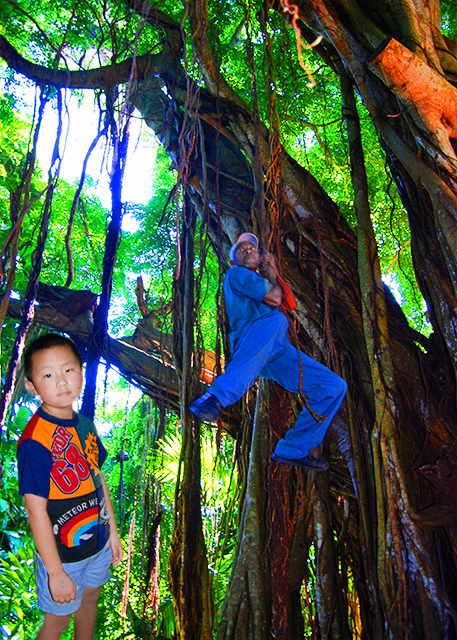 1782075270442856.jpg 16_01-31-09_ Banyan Tree_Flying Man, the Street Performer 飞人·街头表演-10001.jpg