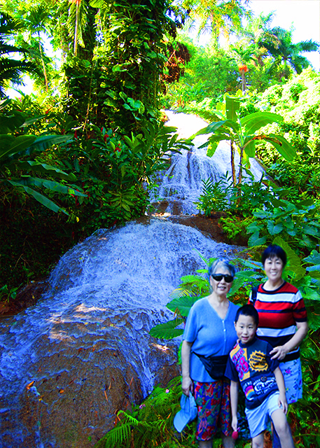 1782076269210915.jpg 18_01-31-09_ Shaw Garden & Waterfalls w Cascading Water over Rocks 肖苑公园瀑布-20001.jpg