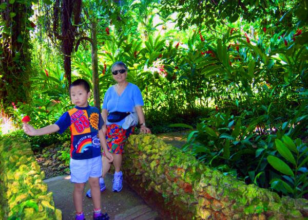 20_01-31-09_ Shaw Garden Park_Tropical Botanical Gardens.jpg