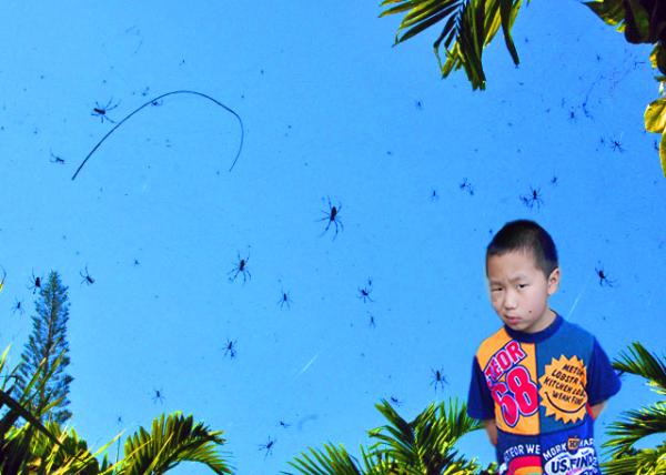 26_01-31-09_ Tropical Spider Web-10001.jpg