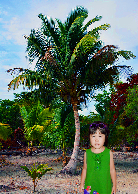 04_2014-08-05_Coconut Tree-10001.jpg