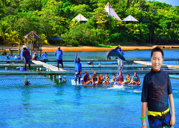 10_2014-08-06_Anthony's Key Resort_Dolphin Show-10001.jpg