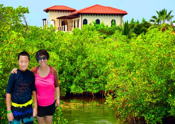 19_2014-08-07_Canal_Mangroves reduce coastal erosion and shelter wildlife �����ּ����˺�����ʴ��������Ұ����ֲ��-30001.JPG