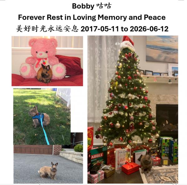 Bobby.png