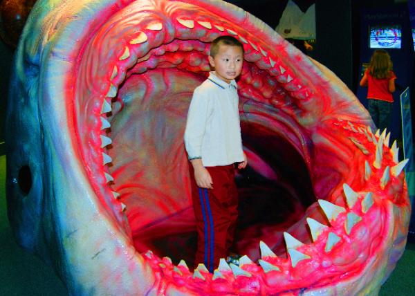 22_12-18-09_ Kelly Tarlton's Antarctic Encounter and Underwater World_Pacific Shark Zone ̫ƽ��������0001.JPG