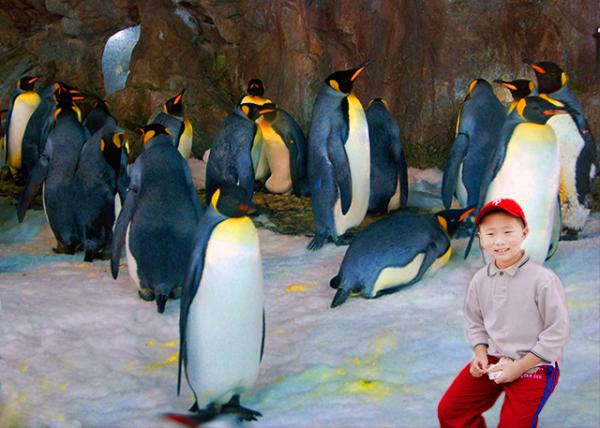 23_12-18-09_ King Penguin-10001.jpg
