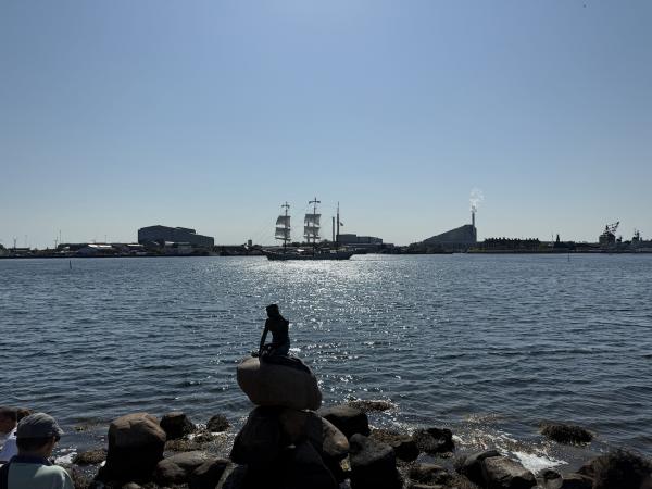 IMG_7331_small.jpeg