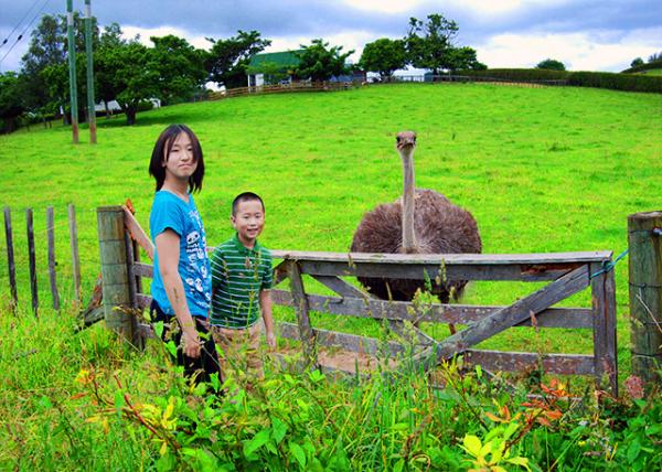 03_12-19-09_ Ostrich Farm-1.JPG