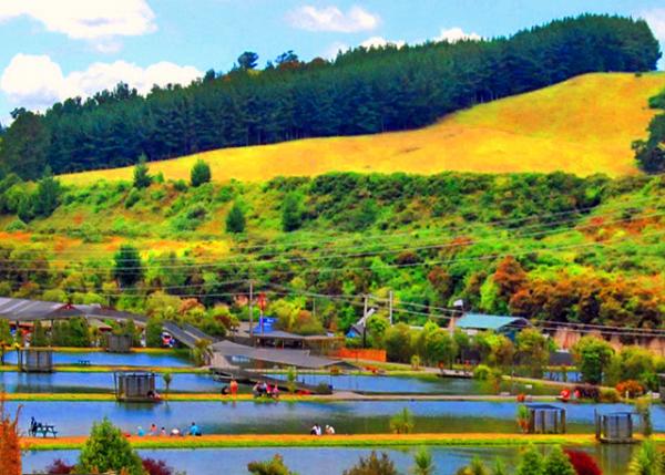 11_12-20-09_ Prawn Park_New Zealand's Only Prawn Farm ������Ψһ��Ϻ��.JPG