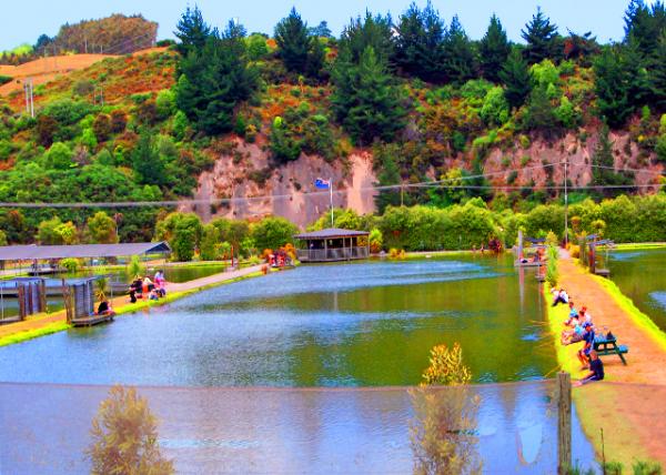 12_12-20-09_ Huka Prawn Park_Prawn Fishing ��Ϻ.jpg