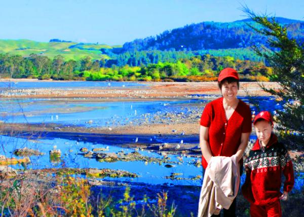 01_12-20-09_ Lake Rotorua w Blue-Green Toxic Algae Blooms ��ɽ��-10001.jpg