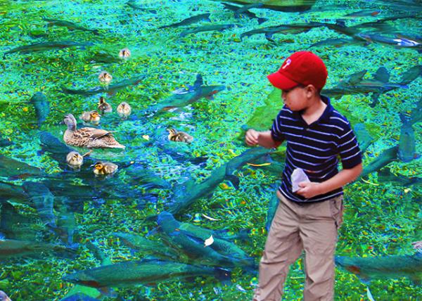 08_12-21-09_ Rainbow Springs Nature Park_Feed Ducklings ιѼ��-20001.jpg