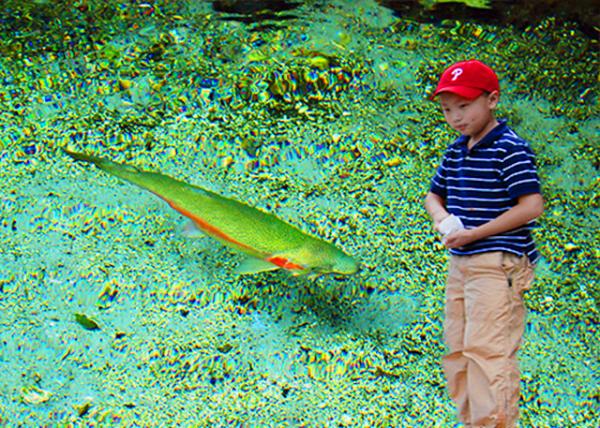 11_12-21-09_ Rainbow Springs Nature Park_Feed Rainbow Trout0001.jpg