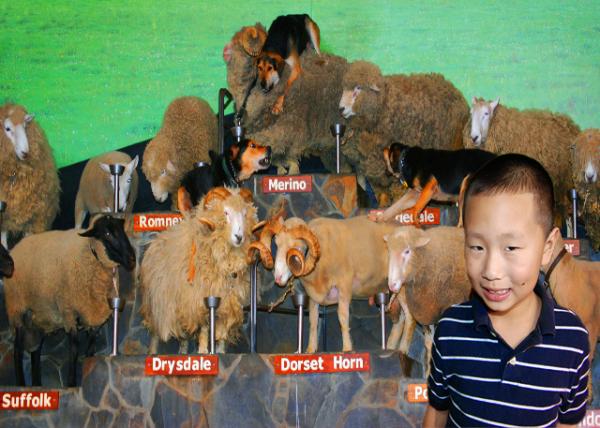 17_12-21-09_ Agrodome Agriculture Theme Park w an Interactive Experience-10001.jpg