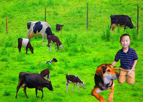 18_12-21-09_ Agrodome Agriculture Theme Park-10001.jpg