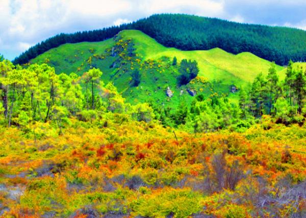 04_12-21-09_ Waiotapu Thermal Wonderland ʥˮ�����澳-20001.JPG