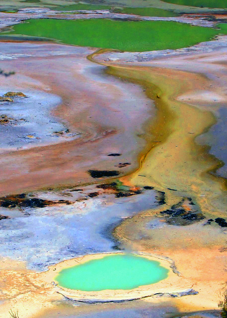 1782362447708224.jpg 18_12-21-09_ Oyster Pool 牡蛎池-30001.JPG