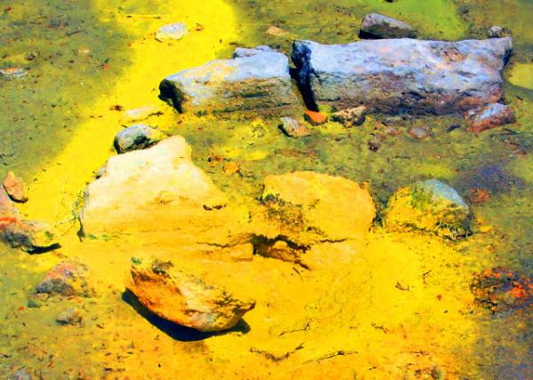 32_12-21-09_ Yellow-Sulphur ��ɫ���-10001.JPG