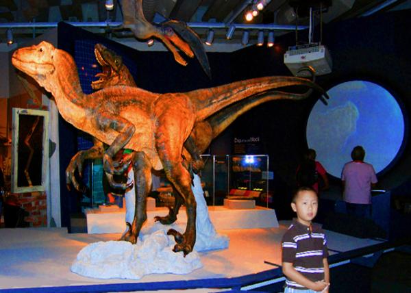 18_12-24-09_ Te Papa Museum_Velociraptor.jpg